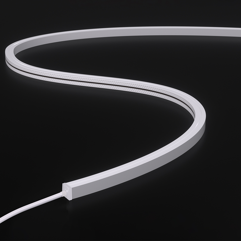 NMT1010-White light-24V(HP)